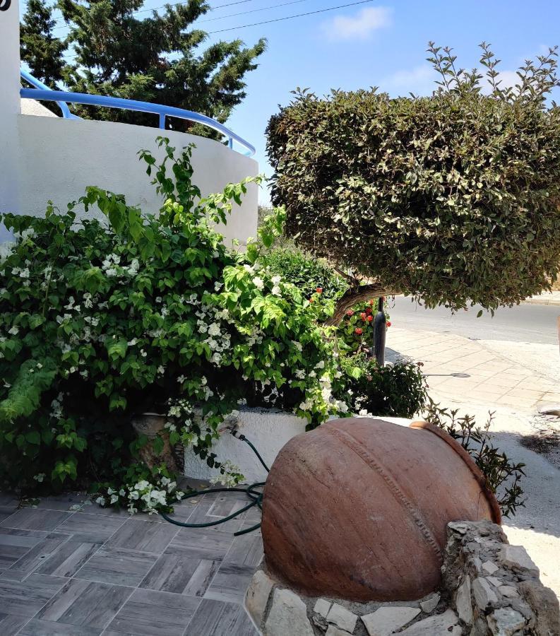 Lovely 1-Bedroom Unit @ Fabulous Location Paphos Bagian luar foto